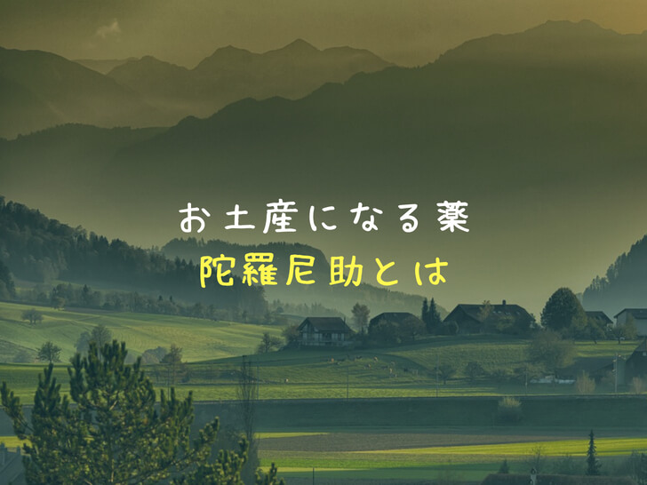 お土産になる薬「陀羅尼助」の効果とは？