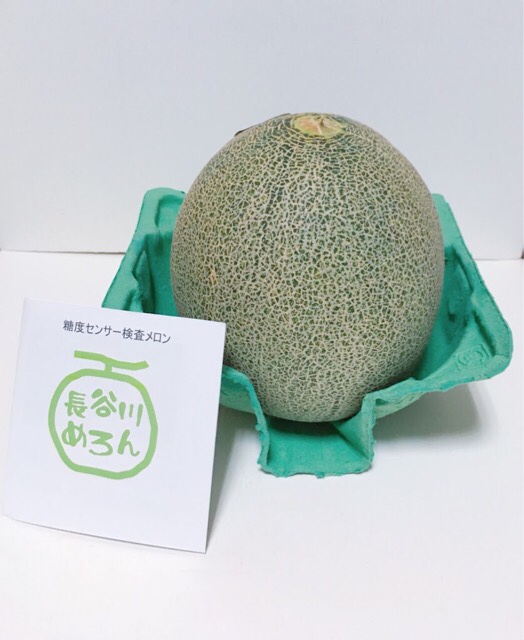 青森県 鰺ヶ沢町へふるさと納税して届いたメロン