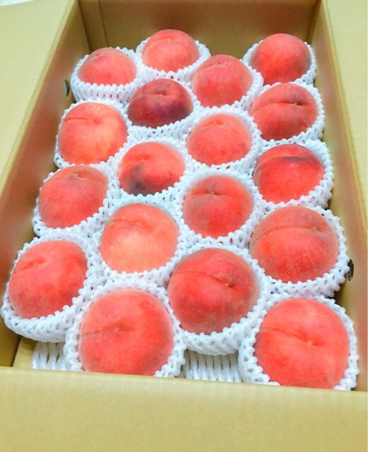 大阪府 泉佐野市へふるさと納税して届いた桃18玉