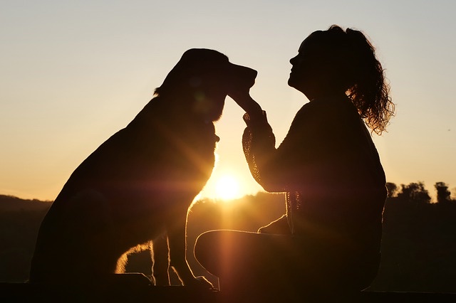 逆光で撮られた写真（犬と女性のシルエット）